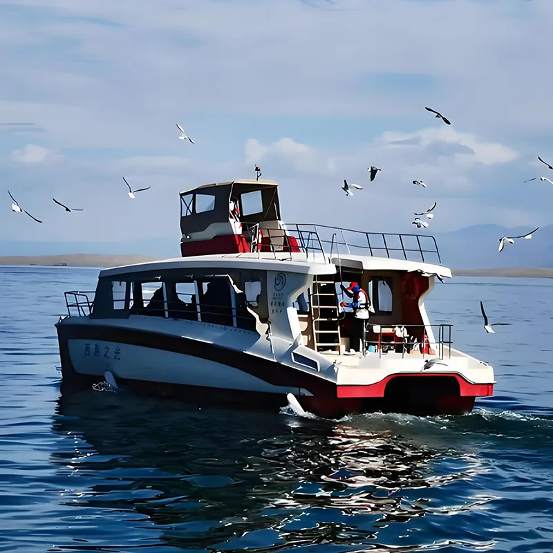 Ferry de pasajeros de Catamaran de 15m