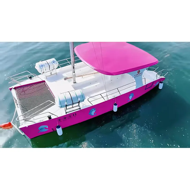 Catamarán comercial de 30 pies